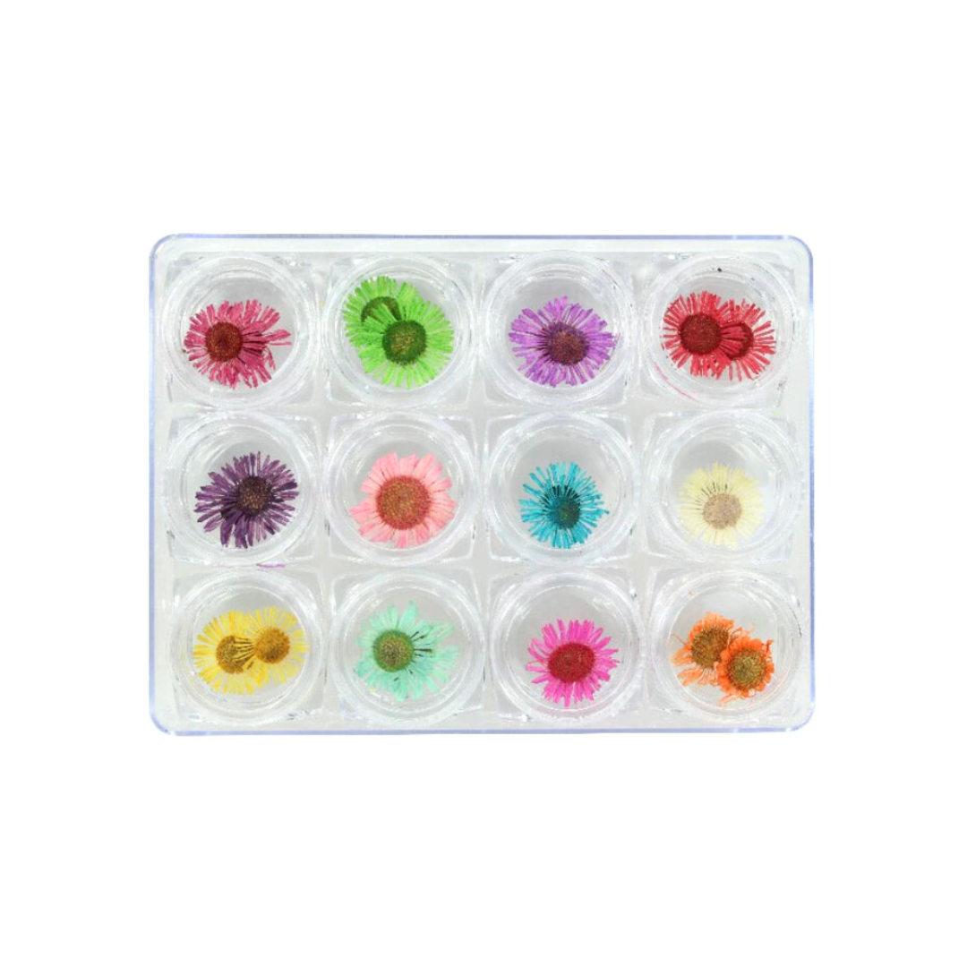 Dry flowers DF-02
