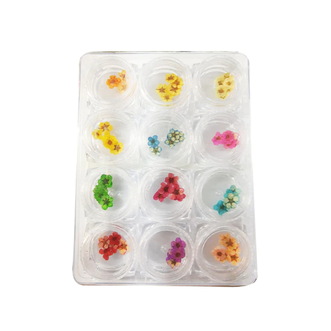 Dry flowers DF-04